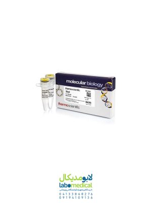 آنزیم XbaI کد ER0681 کمپانی Thermo Scientific آمریکا