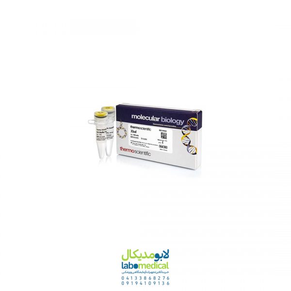 آنزیم XbaI کد ER0681 کمپانی Thermo Scientific آمریکا آنزیم XbaI کد ER0681 کمپانی Thermo Scientific آمریکا