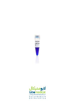 DNA Gel Loading Dye (6X) کد R0611 کمپانی Thermo Scientific آمریکا